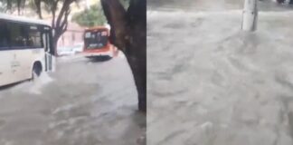 Forte chuva deixa ruas do Centro de Manaus alagadas Wilson lima inaugura espaco es