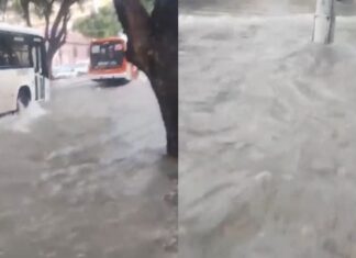 Forte chuva deixa ruas do Centro de Manaus alagadas Wilson lima inaugura espaco es