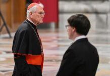 Arcebispo de Manaus entrega renúncia ao Papa Leão XIV após completar 75 anos