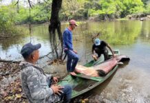 Amazonas tem 964 pescadores com licenças canceladas por irregularidades, diz ministério