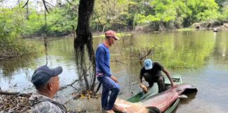 Amazonas tem 964 pescadores com licenças canceladas por irregularidades, diz ministério