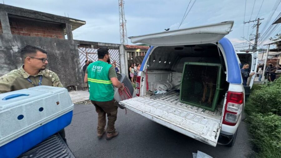 Divulgacao_Sepet-6-1024x576