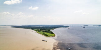 Nível do Rio Negro segue em queda e chega a 18,92 metros em Manaus