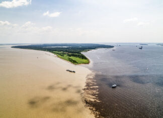 Nível do Rio Negro segue em queda e chega a 18,92 metros em Manaus