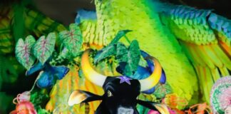 Boi Caprichoso abre temporada de shows para turistas internacionais