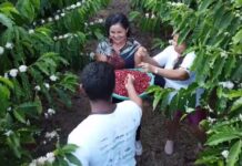 Café vira aposta no interior do AM e multiplica ganhos de agricultores com cultivo sustentável