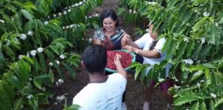 Café vira aposta no interior do AM e multiplica ganhos de agricultores com cultivo sustentável