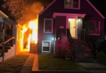 Herói! Cão salva família de incêndio nos Estados Unidos