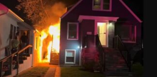 Herói! Cão salva família de incêndio nos Estados Unidos