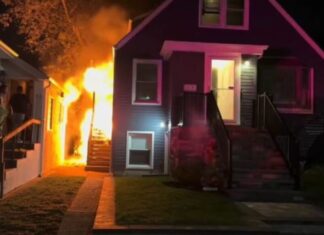 Herói! Cão salva família de incêndio nos Estados Unidos