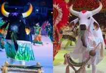 MP pede suspensão da venda de ingressos do Festival de Parintins 2026 por aumento abusivo