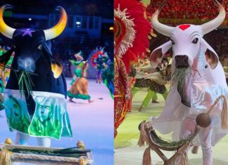 MP pede suspensão da venda de ingressos do Festival de Parintins 2026 por aumento abusivo