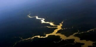 Decreto autoriza Forças Armadas na segurança da COP30