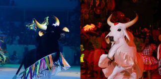 Justiça suspende venda de ingressos para Festival de Parintins 2026 após denúncia de aumento abusivo