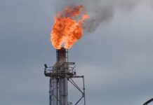 Reserva de petróleo e gás no AM reduz 80% da queima de gás em nove anos e preserva 98% da floresta