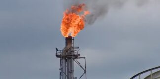 Reserva de petróleo e gás no AM reduz 80% da queima de gás em nove anos e preserva 98% da floresta