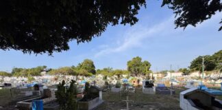 Cemitérios de Manaus terão programação especial no Dia de Finados; veja horários e locais