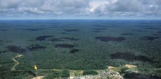 Reserva de petróleo e gás no Amazonas abastece Norte e Nordeste