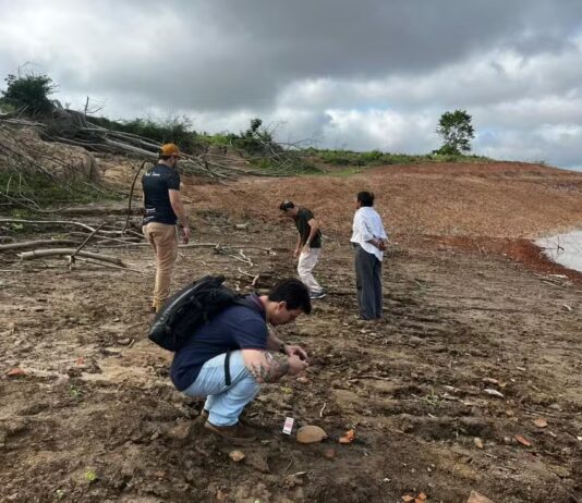 Seca do Rio Amazonas revela sítio arqueológico com vestígios pré-coloniais