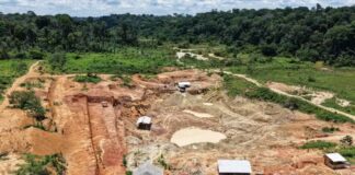 Garimpo ilegal em Maués é embargado e multado em R$ 3,56 milhões pelo Ipaam