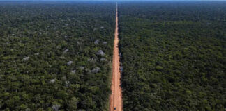 Renan Filho afirma que pavimentação da BR-319 deve avançar em 2026