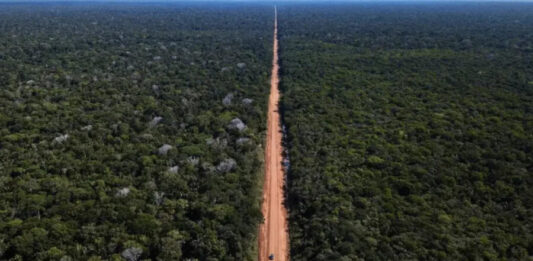 Renan Filho afirma que pavimentação da BR-319 deve avançar em 2026