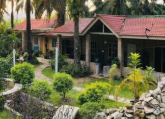 Sem horário para acordar, ‘casa de idosos’ para jovens faz sucesso na Malásia