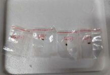 Cientista que tentou contrabandear fungo para os EUA é deportada