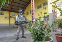 Seis bairros de Manaus têm alto risco de infestação da dengue