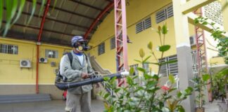 Seis bairros de Manaus têm alto risco de infestação da dengue