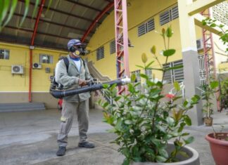Seis bairros de Manaus têm alto risco de infestação da dengue