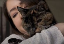 Conheça Flossie, a gatinha mais velha do mundo que completou 30 anos de vida