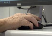 Com 8,3 milhões de trabalhadores, idosos têm nível de ocupação recorde