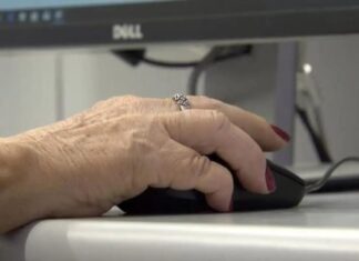 Com 8,3 milhões de trabalhadores, idosos têm nível de ocupação recorde