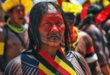 Terras indígenas: Senado aprova PEC do Marco Temporal