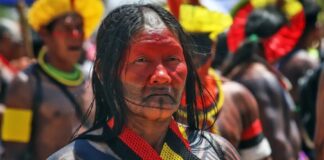 Terras indígenas: Senado aprova PEC do Marco Temporal