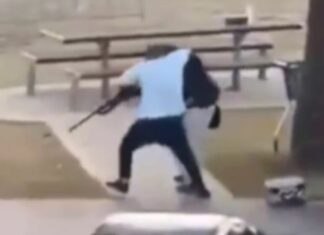 Quem é o herói que desarmou terrorista e evitou matança na Austrália