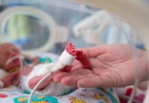 Desnutrição materna em Gaza causa aumento de bebês prematuros e de baixo peso