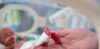 Desnutrição materna em Gaza causa aumento de bebês prematuros e de baixo peso