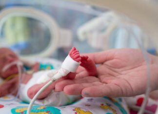 Desnutrição materna em Gaza causa aumento de bebês prematuros e de baixo peso