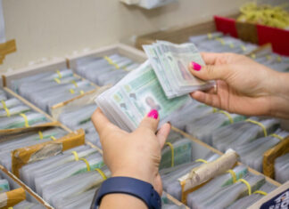 Adequação à nova CNH suspende novos serviços de habilitação no Detran-AM