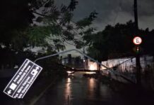 Chuva forte alaga ruas, derruba árvores e causa apagões em Manaus