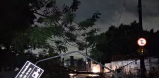 Chuva forte alaga ruas, derruba árvores e causa apagões em Manaus