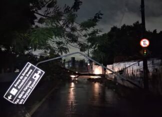Chuva forte alaga ruas, derruba árvores e causa apagões em Manaus