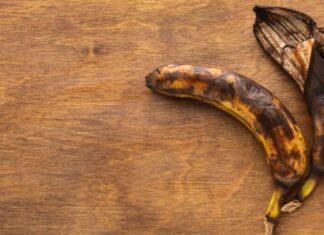 Calor intenso acelera a deterioração dos alimentos; saiba como prevenir