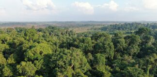 Amazônia entra em zona de risco com avanço do clima hipertropical