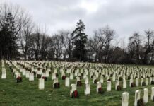 Ladrão de túmulos: homem é preso após roubar mais de 100 crânios em cemitério