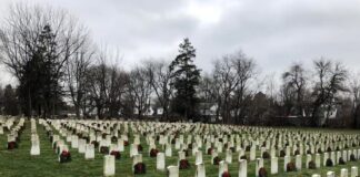 Ladrão de túmulos: homem é preso após roubar mais de 100 crânios em cemitério