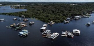 Decisão nega pedido do MP sobre organização da área do Tarumã-Açu