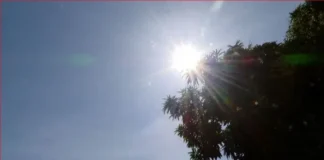 Amazonas registra menor número de focos de calor da história, aponta Inpe